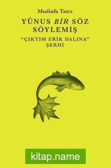 Yunus Bir Söz Söylemiş Çıktım Erik Dalına Şerhi