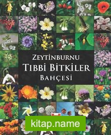 Zeytinburnu Tıbbi Bitkiler Bahçesi