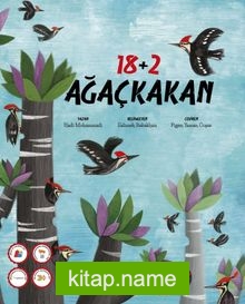 18+2 Ağaçkakan