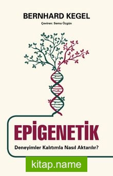 Epigenetik Deneyimler Kalıtımla Nasıl Aktarılır?