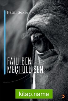 Faili Ben Meçhulü Sen