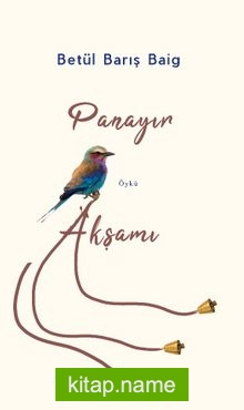 Panayır Akşamı