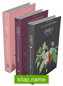 Rüzgarın Kızı Emily Serisi (3 Kitap)